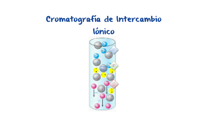 cromatografía de intercambio de iones