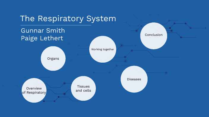 Respiratory System by Gunnar Smith on Prezi