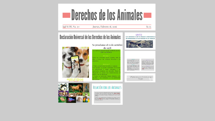 Derechos de los Animales by Rosario Padron on Prezi