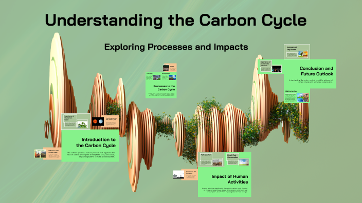 Understanding the Carbon Cycle by rice on Prezi