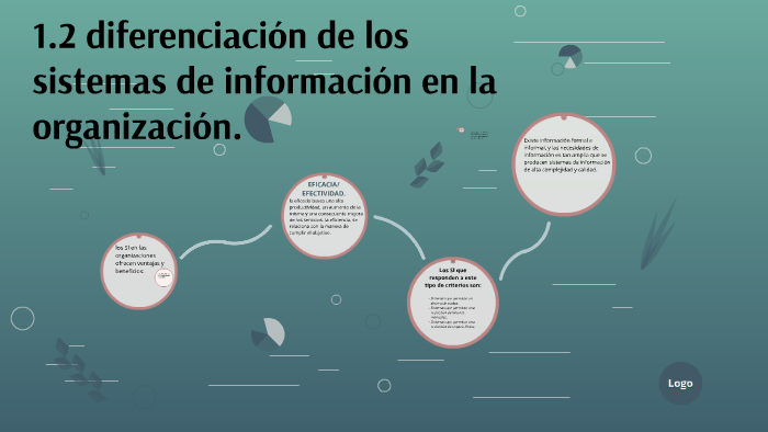 Diferenciación De Los Sistemas De Información En La Organización