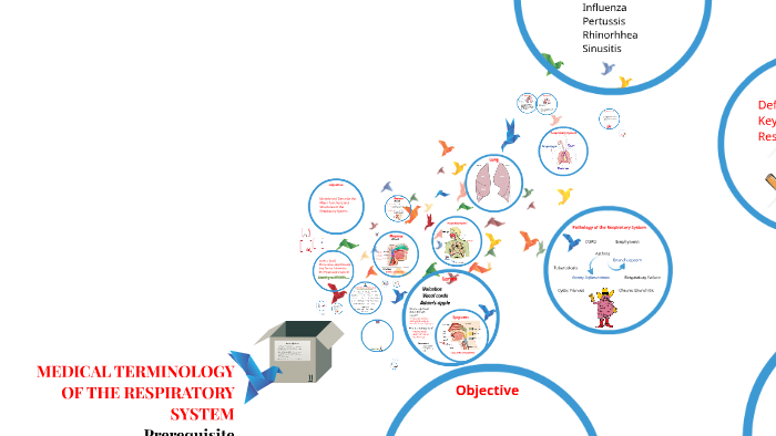 MEDICAL TERMINOLOGY OF THE RESPIRATORY SYSTEM By Adrienne Powell On Prezi