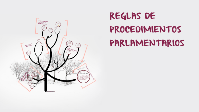 REGLAS DE PROCEDIMIENTOS PARLAMENTARIOS By Ilian Estrada Barrios