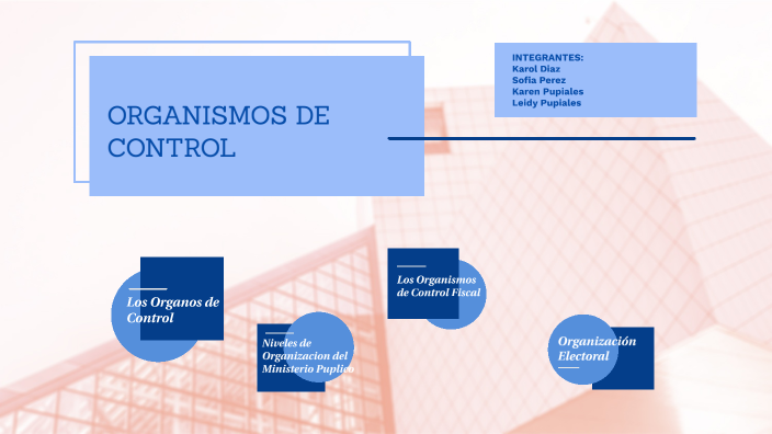 Los Organismos De Control By Diana Marcela