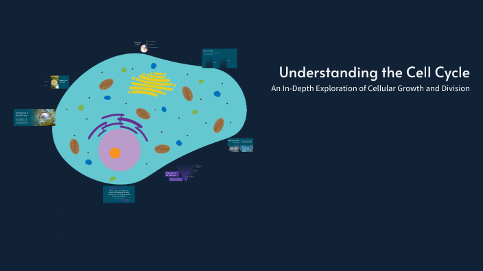 Understanding the Cell Cycle by Michael Zamora on Prezi