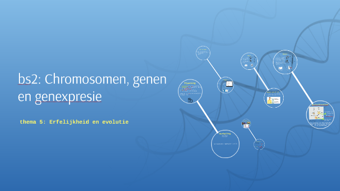 2h Chromosomen En Genen By Nina Boom On Prezi