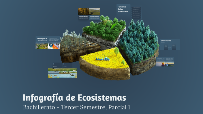 Infografía de Ecosistemas by maria elizeth alvarez alarcon on Prezi