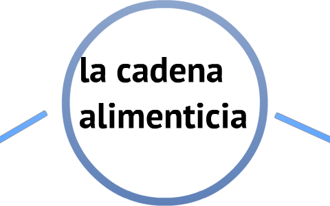 La cadena alimenticia by annalea rivera moreno