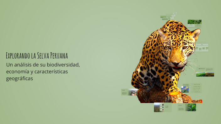 Explorando la Selva Peruana by KEVIN EDF on Prezi