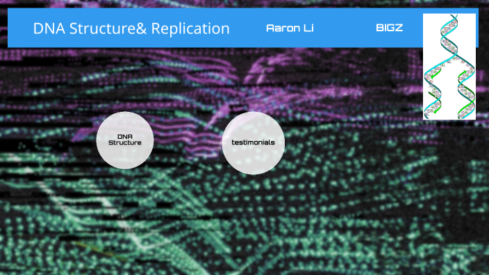 Dna Replication.Aaron Li by Binglun Aaron Li on Prezi