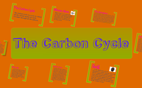 The Carbon Cycle by Jean Parke on Prezi