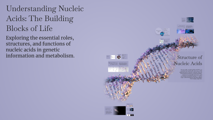Understanding Nucleic Acids: The Building Blocks of Life by Kent ...