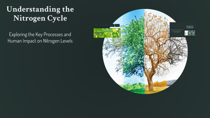 Understanding the Nitrogen Cycle by Jose Morales on Prezi