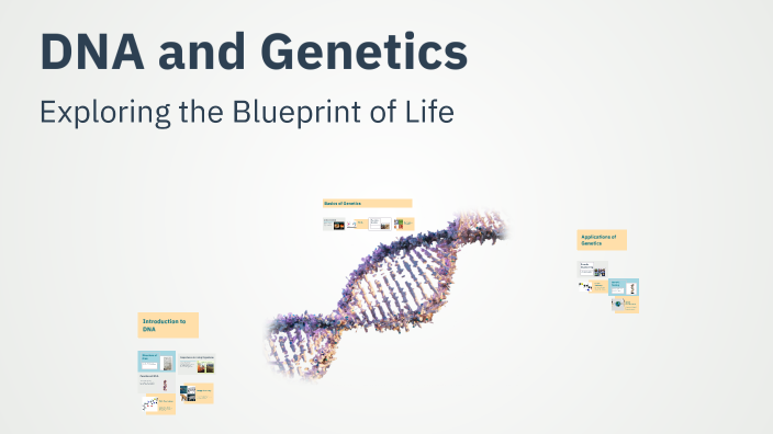 DNA and Genetics by John Reed on Prezi