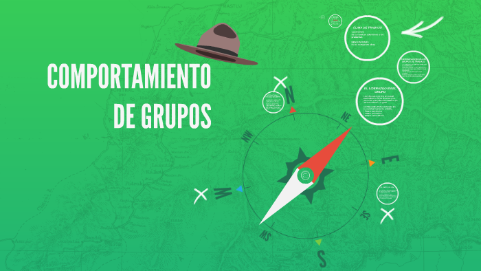 Comportamiento De Grupos By Daniela Acevedo 8601