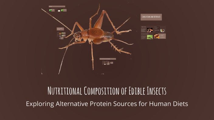 Nutritional Composition of Edible Insects by Muhammed Olalaycon on Prezi