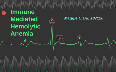 Immune Mediated Hemolytic Anemia By On Prezi