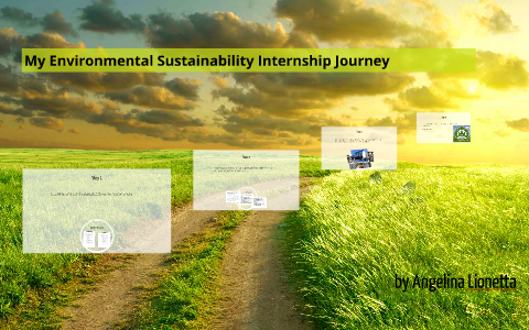 My Environmental Sustainability Internship Journey By