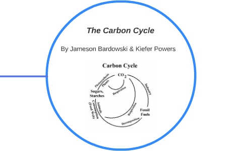 The Carbon Cycle by Jameson Bardowski on Prezi