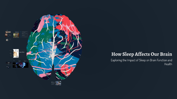 How Sleep Affects Our Brain by KASHYAP VAGHELA on Prezi