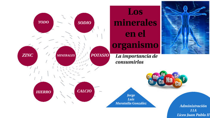 Los minerales en el organismo by Jorge Luis Muratalla González on Prezi