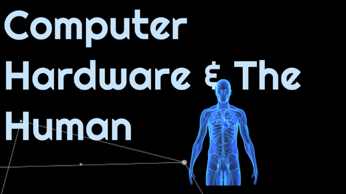 essay about computer parts similar to the human body