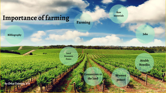 5-importance-of-agriculture-what-is-the-importance-of-agriculture