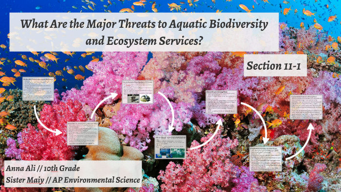 What Are the Major Threats to Aquatic Biodiversity and Ecosy by Anna