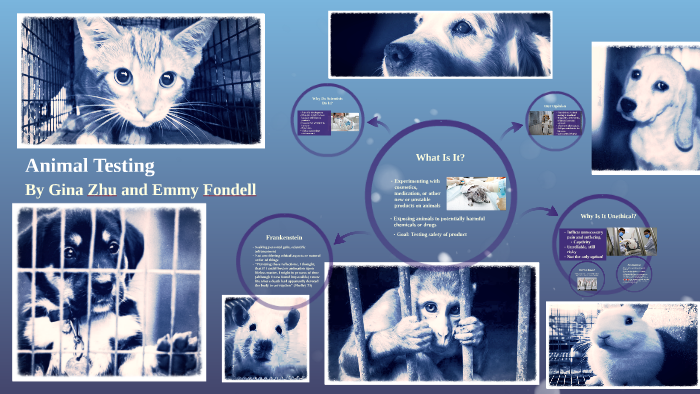 Animal Testing by Emmy F Animal Testing by Emmy F