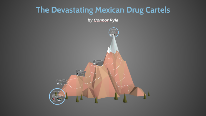 Definition For Drug Cartel