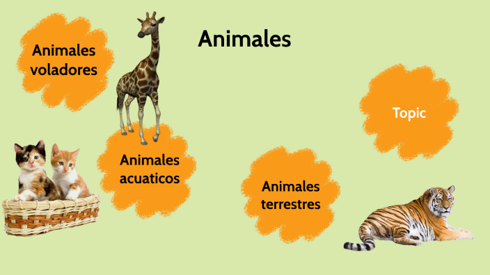 Animales by Nayelli Mejia on Prezi