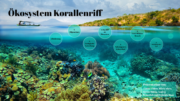 Ökosystem Korallenriff by Culava Marie on Prezi