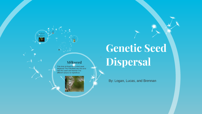 Genetic Seed Dispersal by Logan Dubois on Prezi