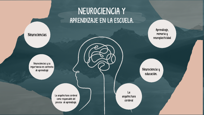 Neurociencia Y Aprendizaje En La Escuela By Melany Briceño On Prezi