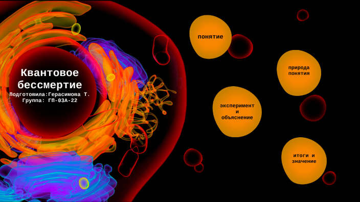 Квантовое бессмертие что