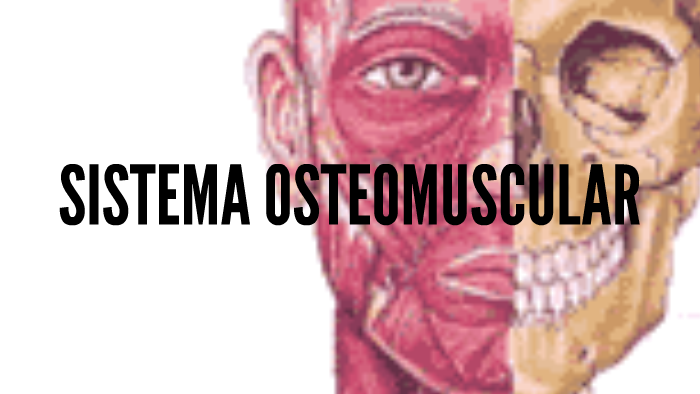 Estructura Osteomuscular - 2020 idea e inspiración