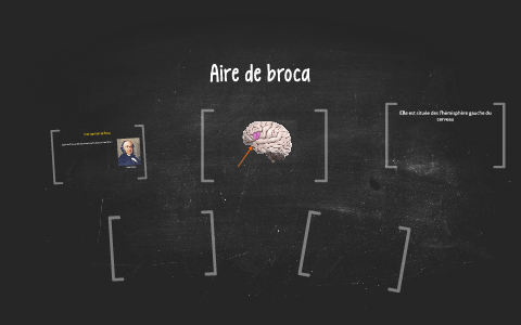 Aire de broca by Danie Lapointe on Prezi