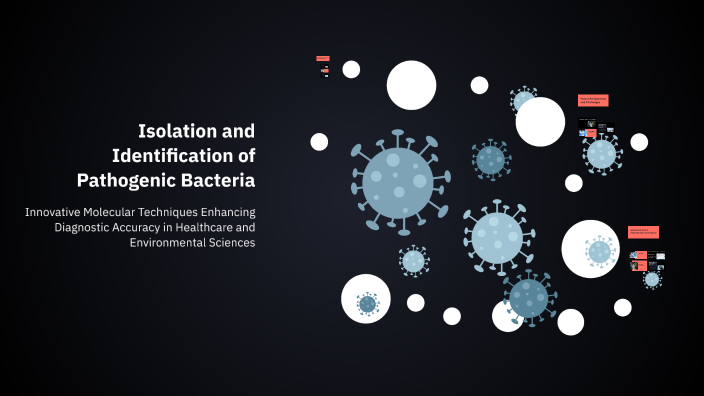 Isolation and Identification of Pathogenic Bacteria by Ghulliver ...
