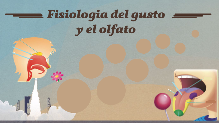 Fisiologia Del Gusto Y El Olfato By Eilen Gutierrez On Prezi