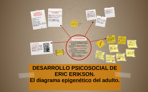 etapas de erikson del desarrollo psicosocial