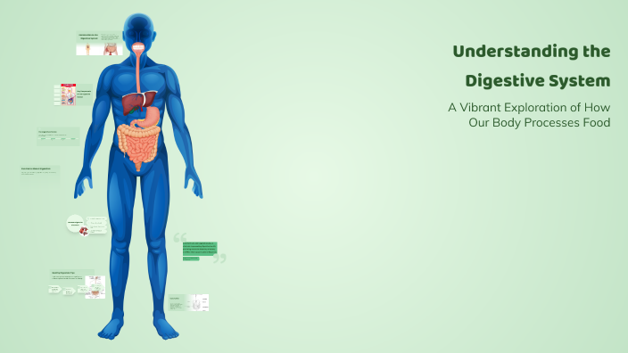 Understanding the Digestive System by Indy van Eldijk on Prezi