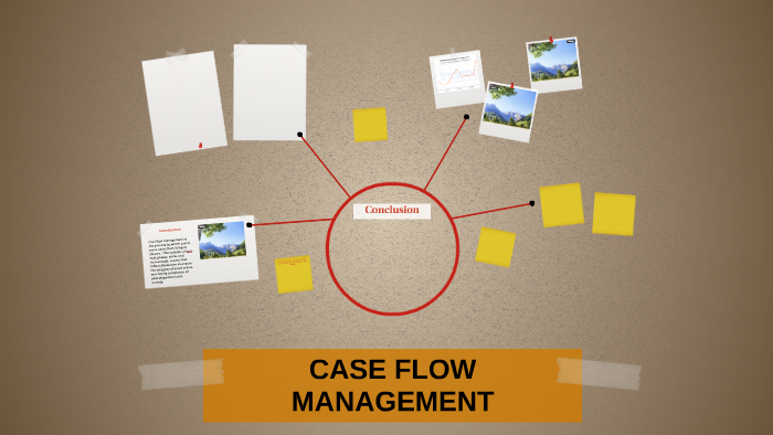 case-flow-management-by-shikha-kundu