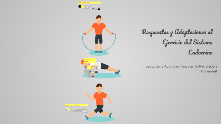 Respuestas y Adaptaciones al Ejercicio del Sistema Endocrino by CINTHIA