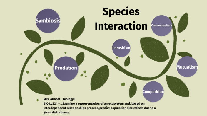 Species Interaction By Rachel Abbott On Prezi