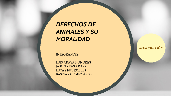 Derechos Animales by Lucas But on Prezi