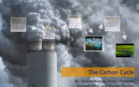 The Carbon Cycle by Rachel Koehler on Prezi