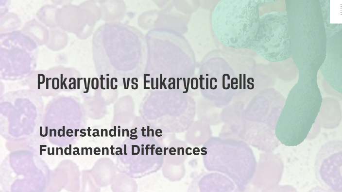 Prokaryotic vs Eukaryotic Cells by Ryan Henderson Frisk on Prezi