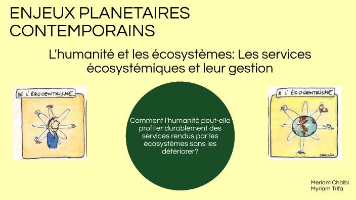 Lhumanite Et Les Ecosystemes Les Services écosystémiques Et Leur Gestion By Myriam Trifa On Prezi 3910