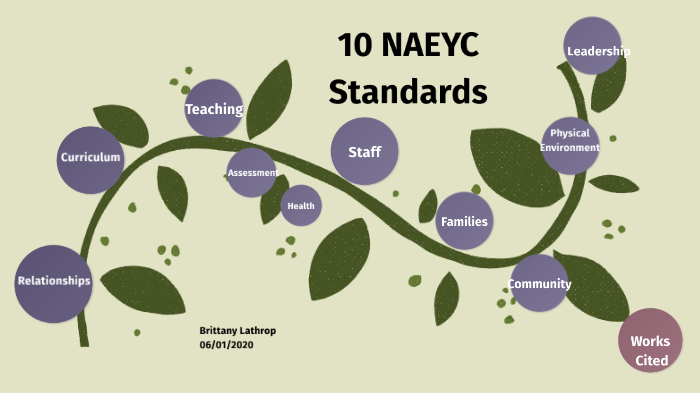 10 NAEYC Standards By Brittany Lathrop 10-naeyc-standards-by-brittany-lathrop