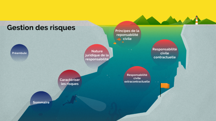 Ch 12 - Gestion des risques liés à l'activité de l'entreprise by ...